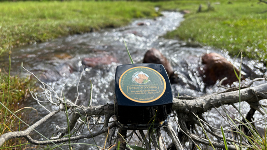 shilajit for mental clarity